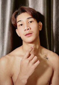 โยชิ-เน็ตไอดอล