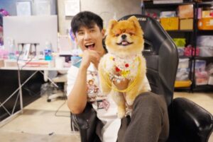 อู๋จุน HI-END